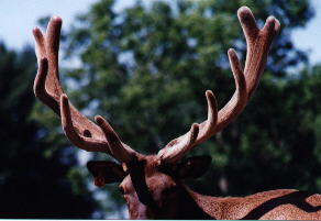 ODEN6.JPG (13198 bytes)